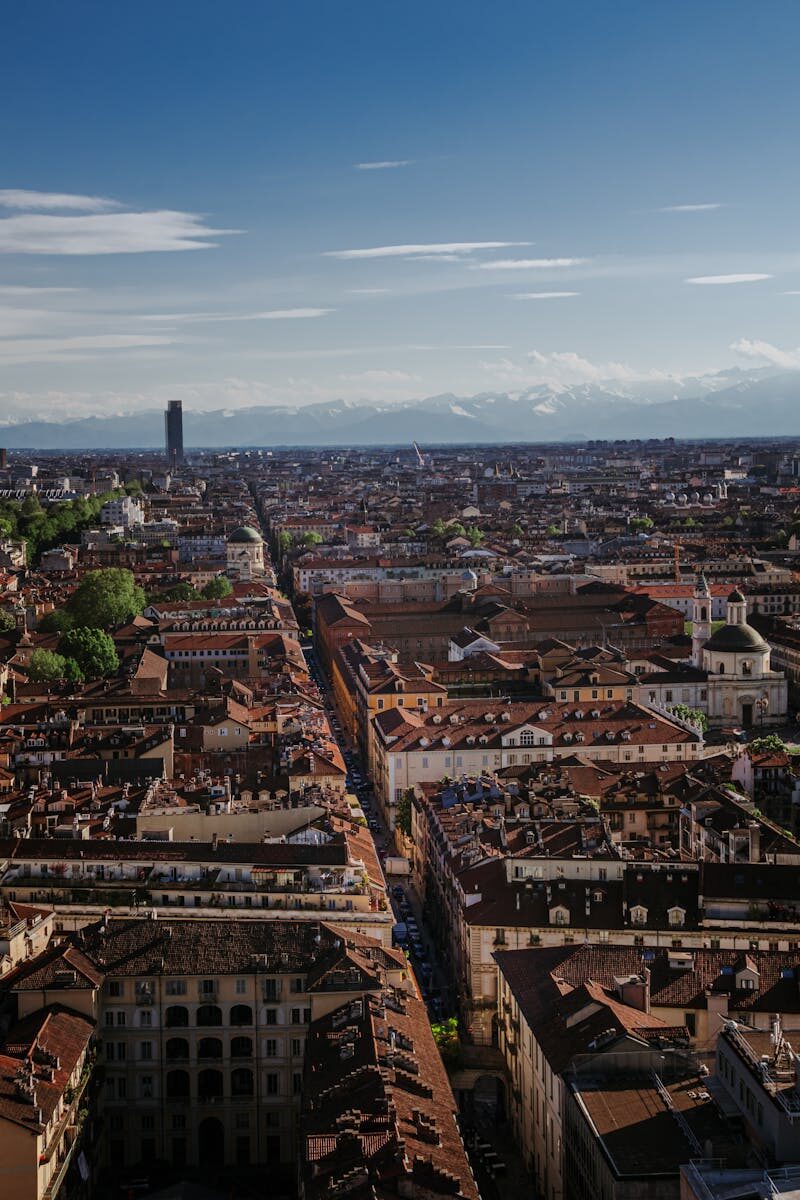 Trademark Maintenance